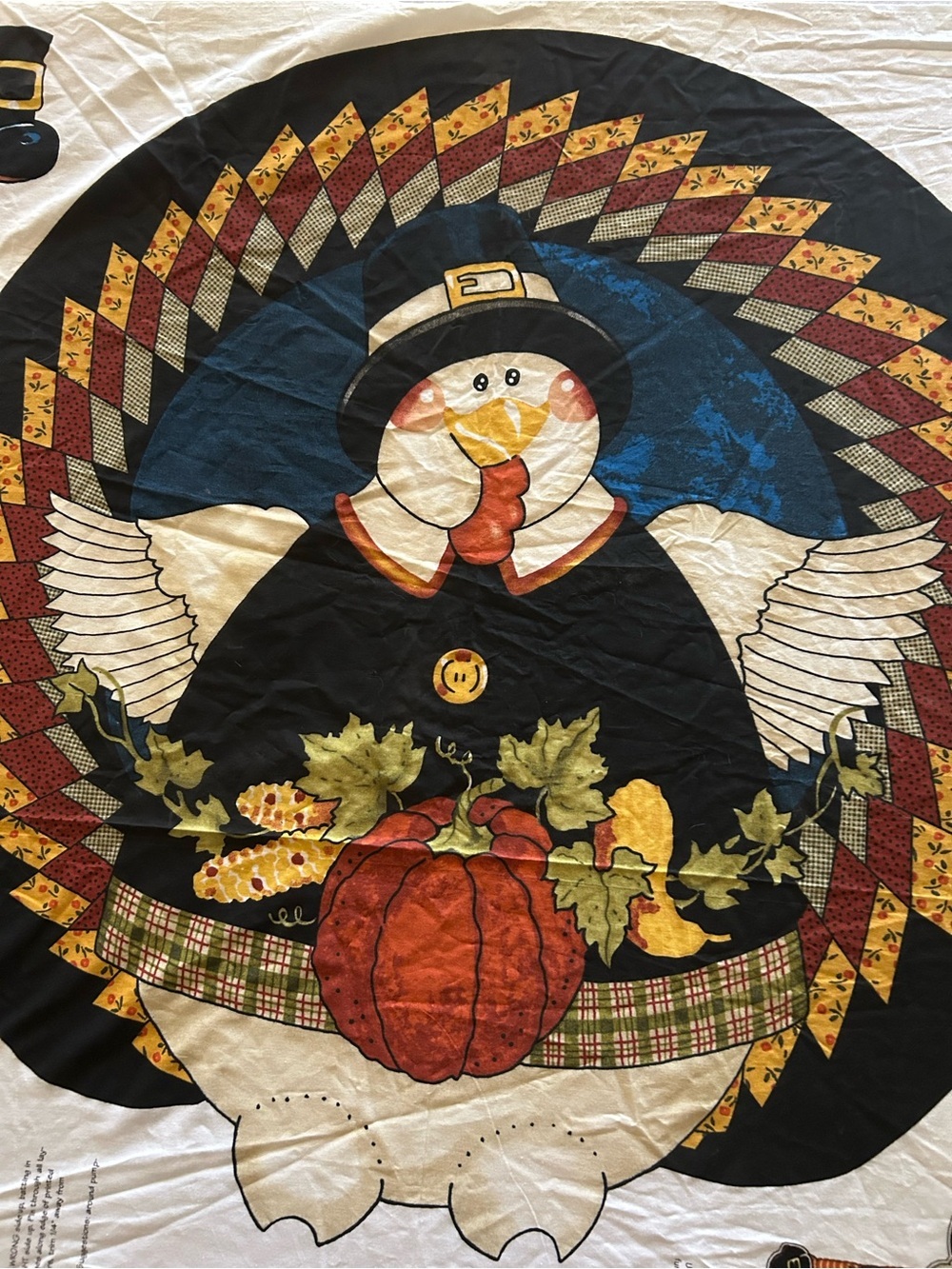 Daisy Kingdom Mr. Wishbone Turkey Cut & Sew Fabric Door Panel Fall Thanksgiving